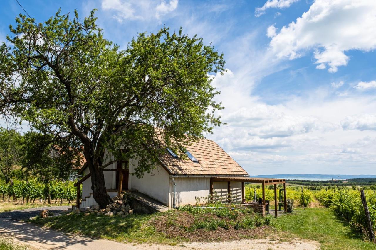 Tagyon Birtok Mandula Apartmanhaz 外观 照片